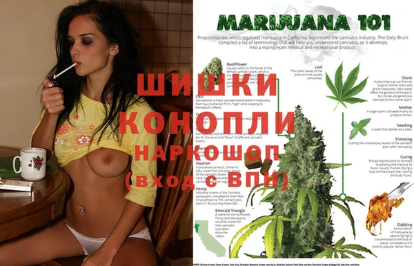 эйфоретик Беломорск