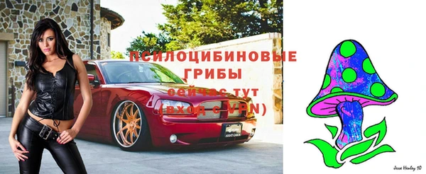2c-b Белоозёрский